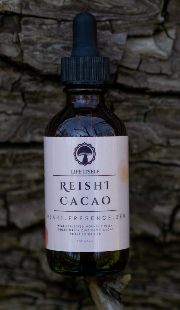 Reishi & Cacao Tincture 2oz