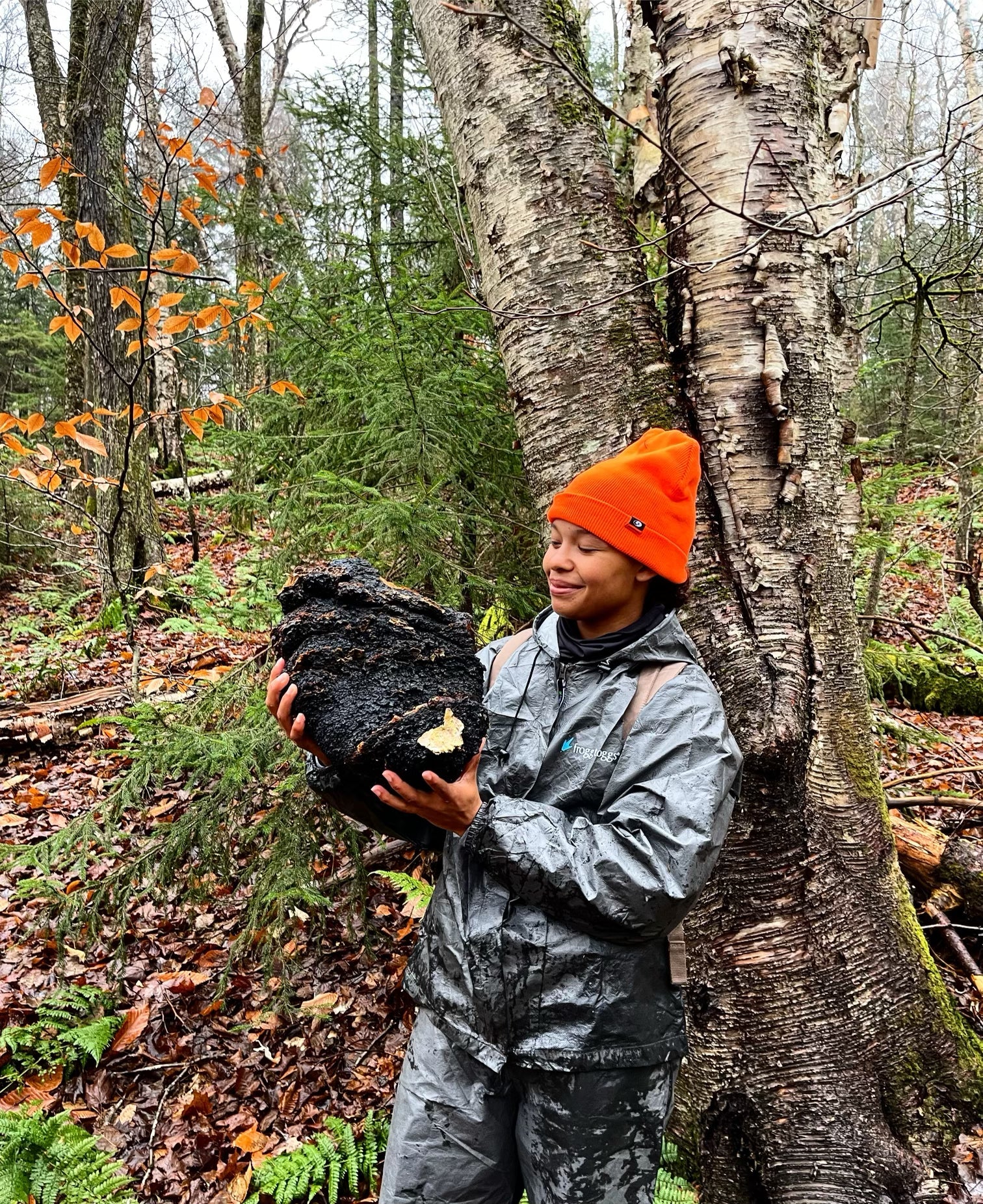 Why Your Skincare Fails… & How Chaga Mushroom Can Heal Skin Inflammation