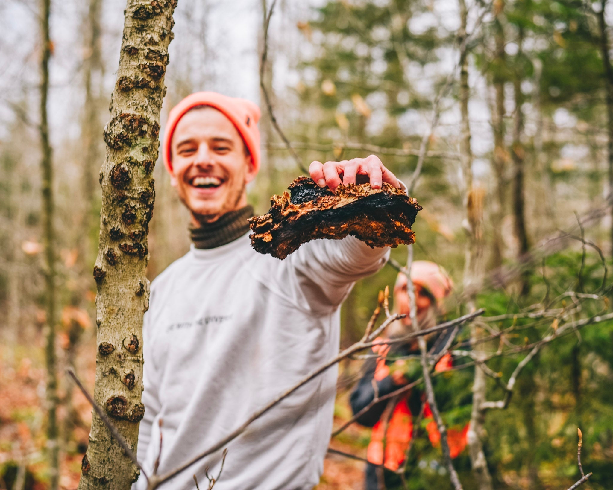 7 New Chaga Mushroom Benefits: Lab-Tested Science | Life Itself