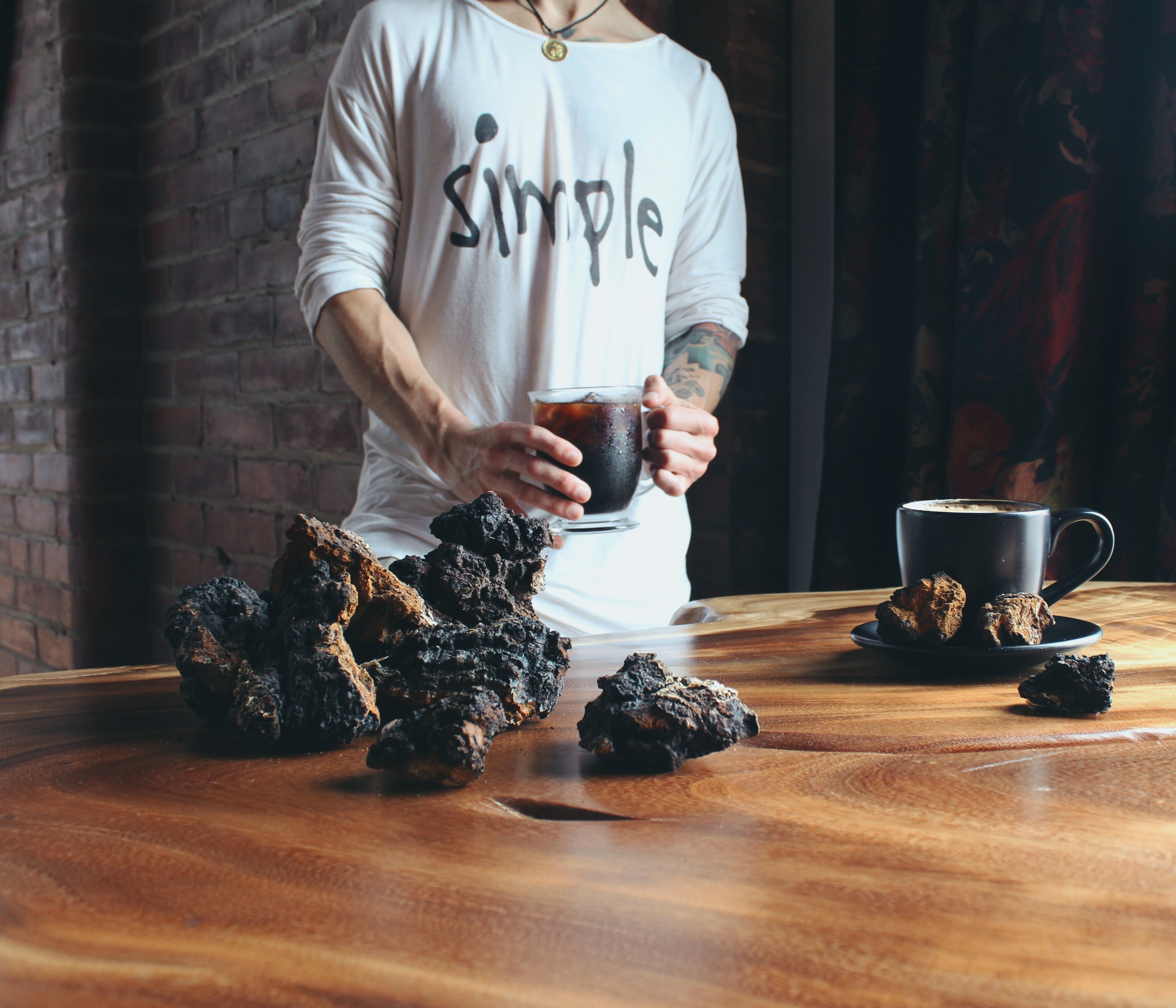 Learn More About Our Chaga and Shilajit