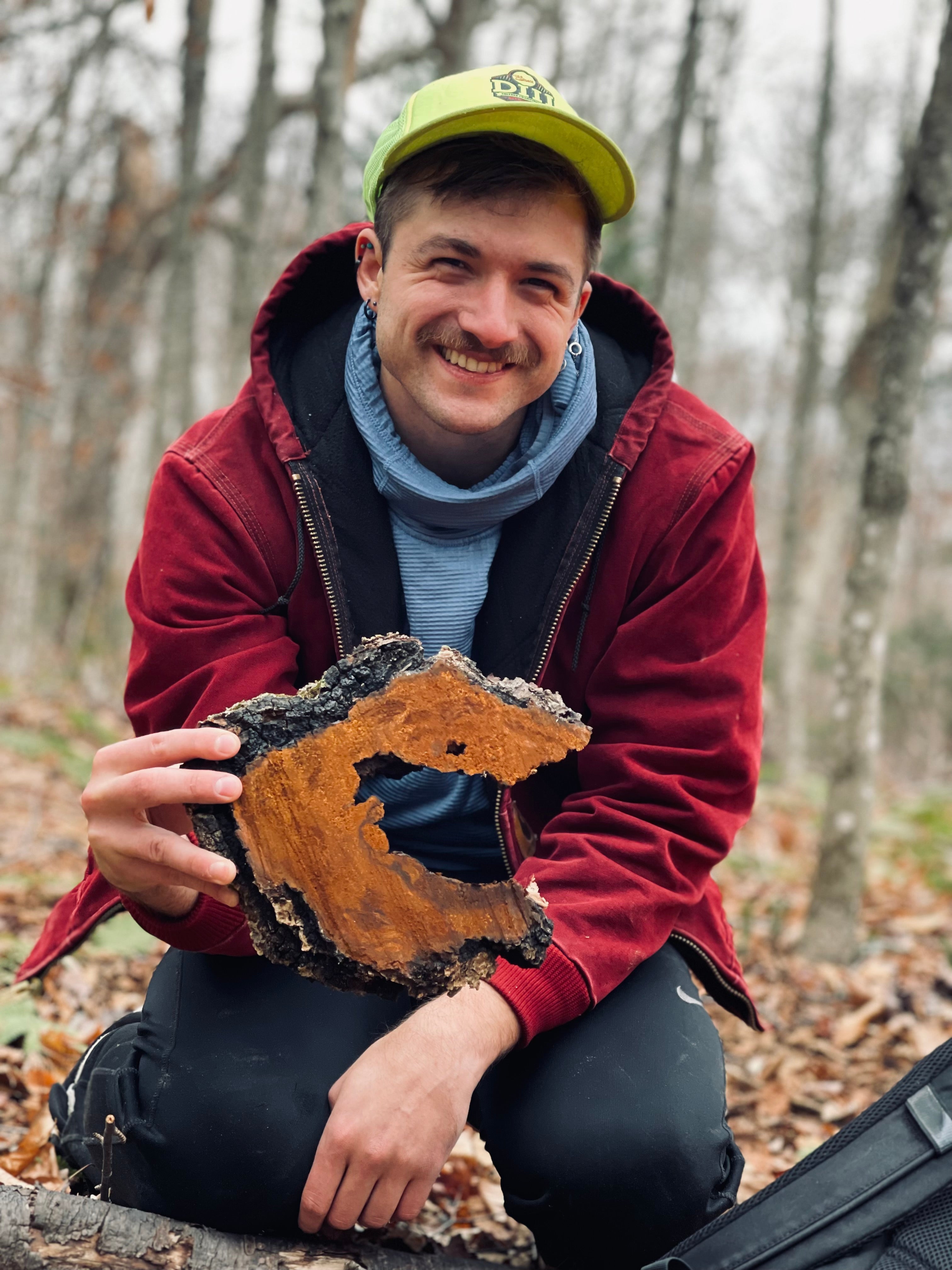 Lion's Mane and Chaga Mushroom: The Brain Health Stack of 2026