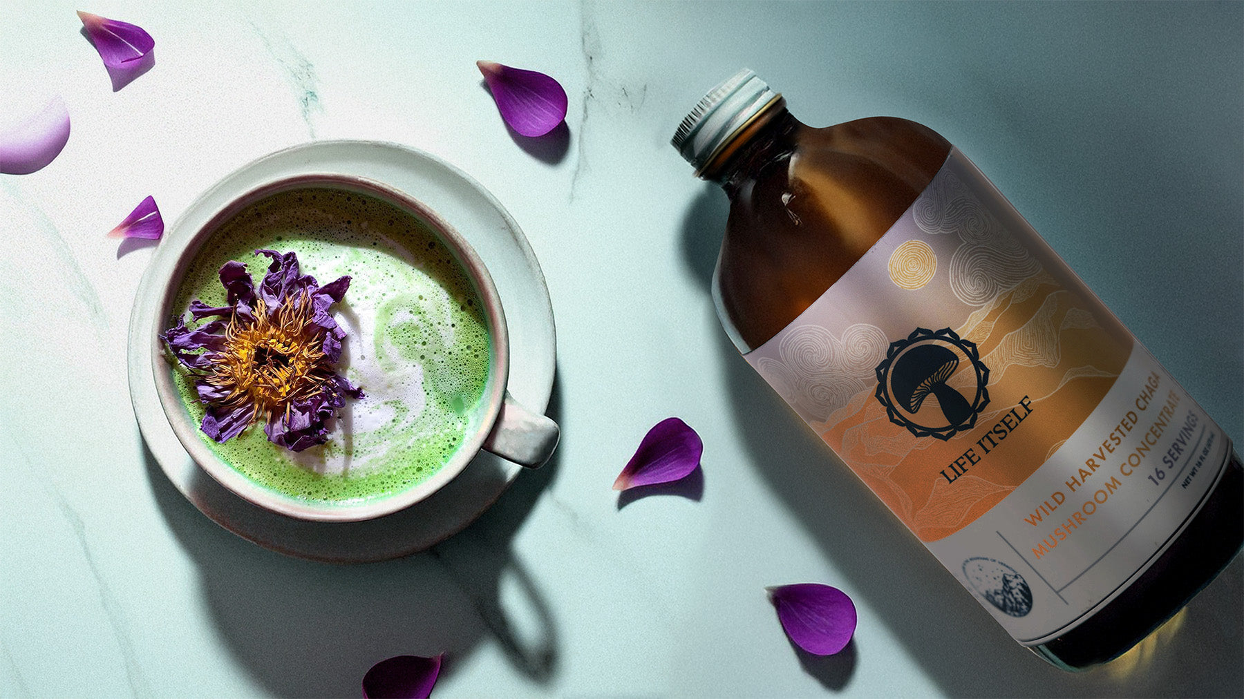 Mystic Matcha Elixir Recipe – A Chaga Mushroom & Matcha Superfood Latte