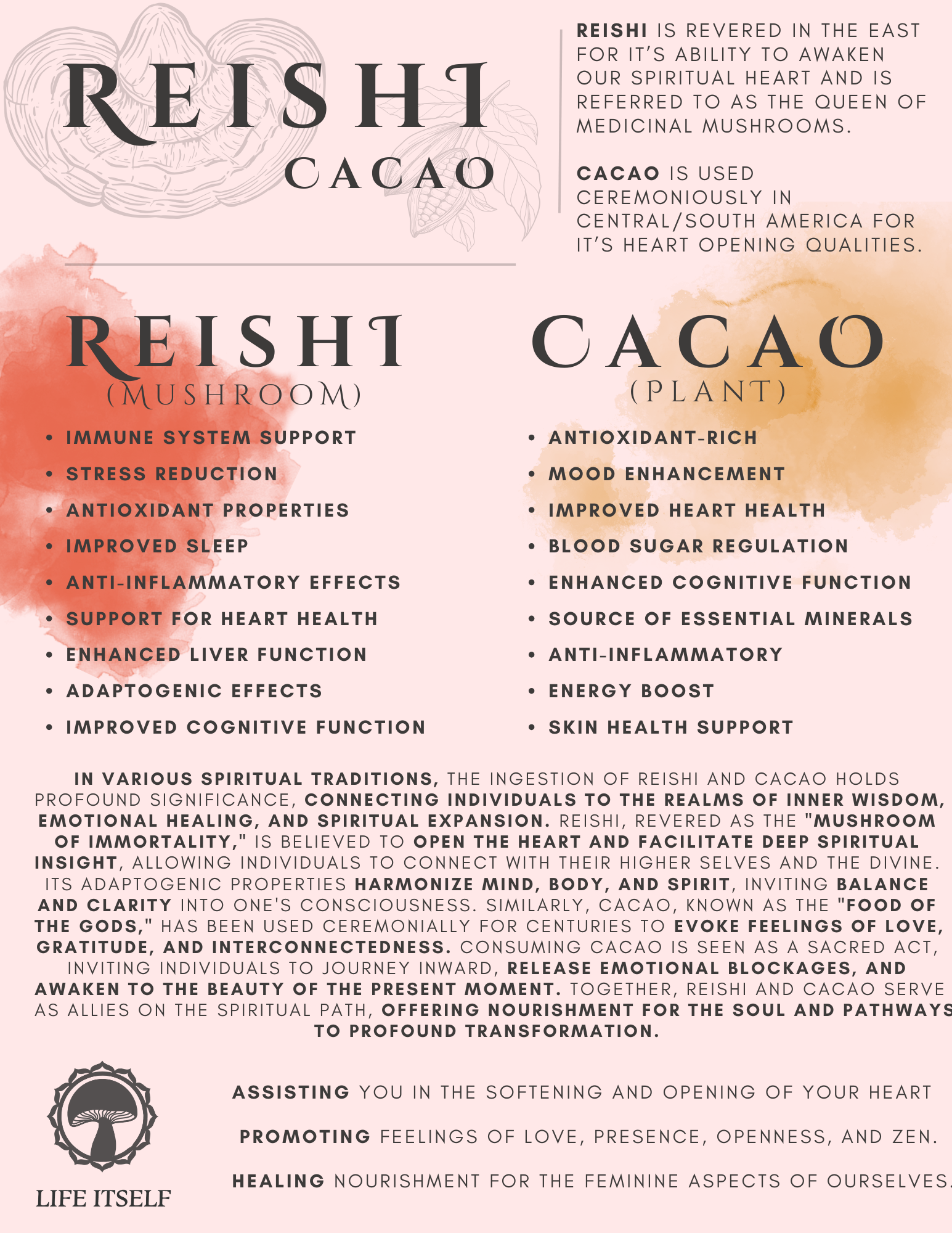 Reishi & Cacao Tincture 2oz