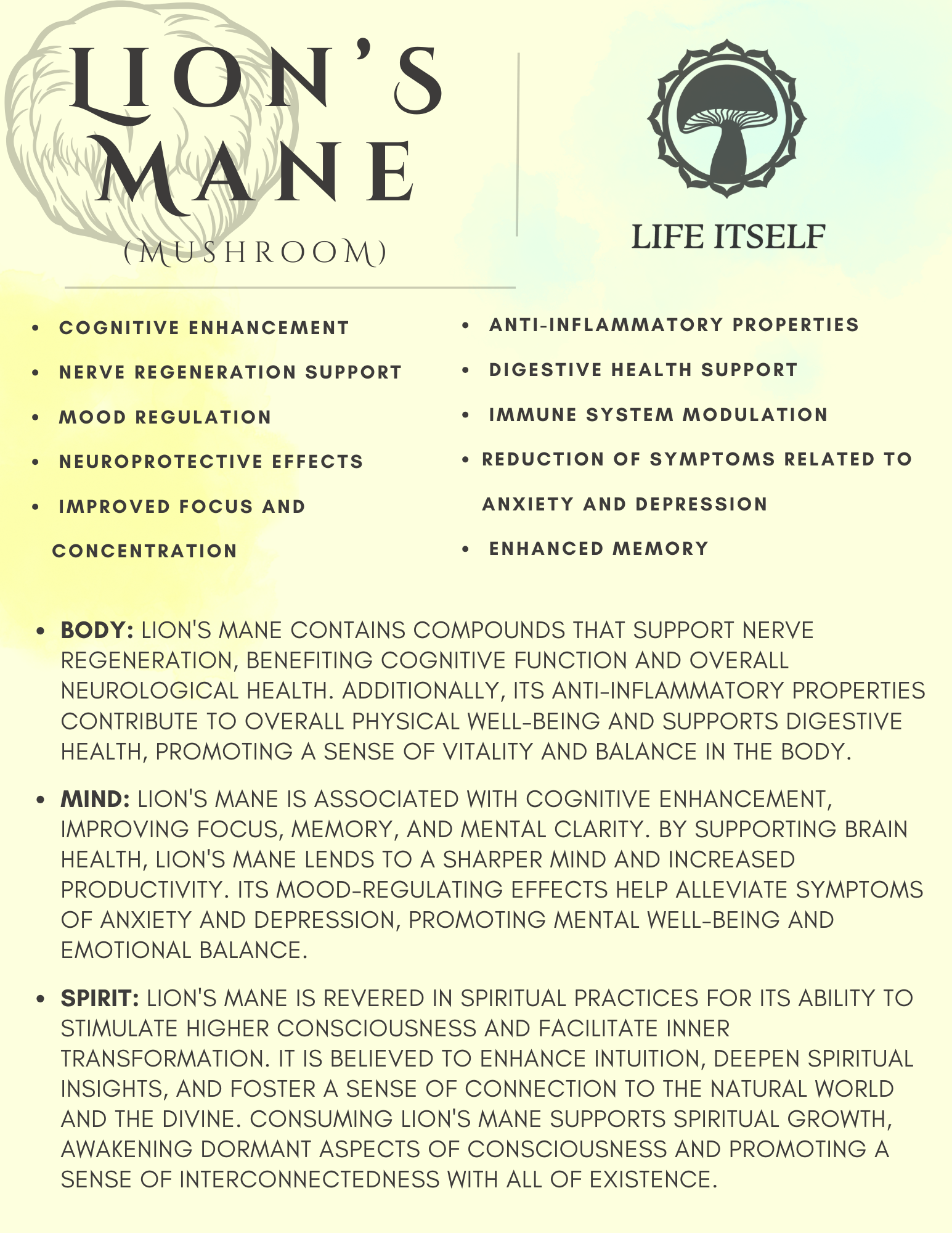 Lion's Mane Tincture 2oz