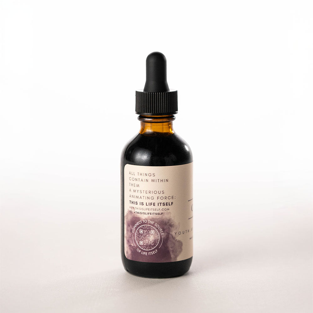 Wild Foraged Chaga Mushroom Tincture - Antioxidant-Rich Immune Support Liquid Supplement by Life Itself