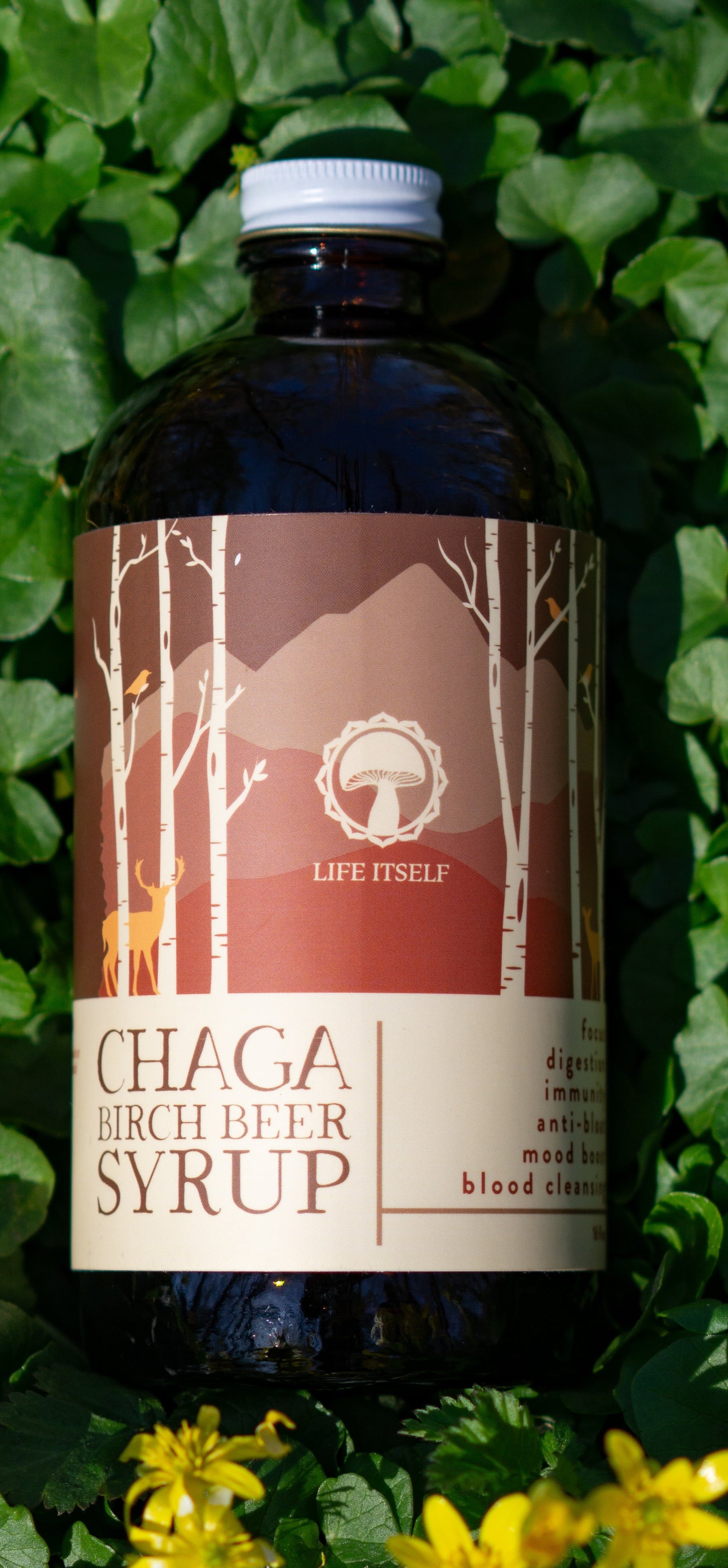 Chaga Birch Beer Syrup 16oz