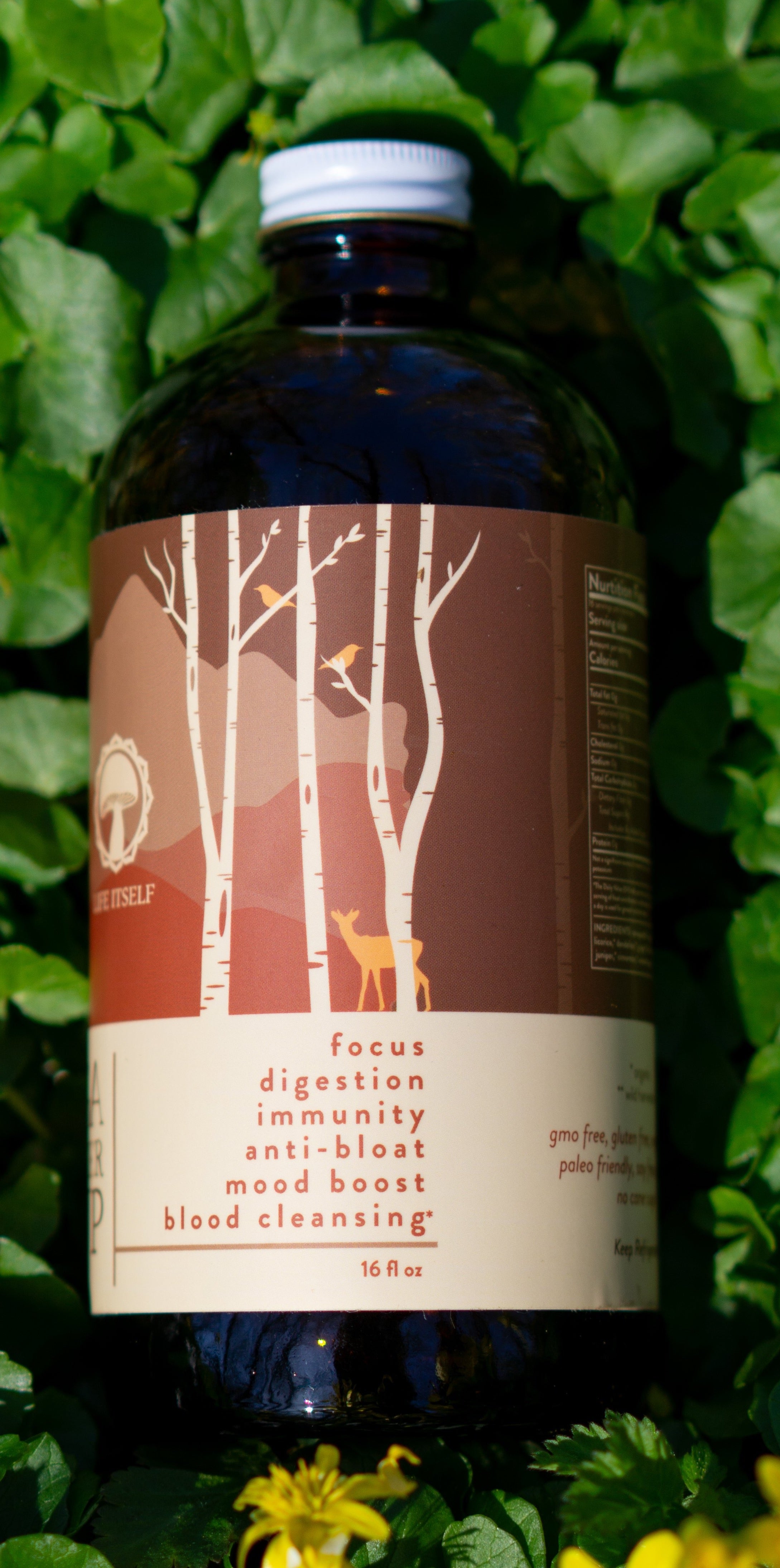 Chaga Birch Beer Syrup 16oz