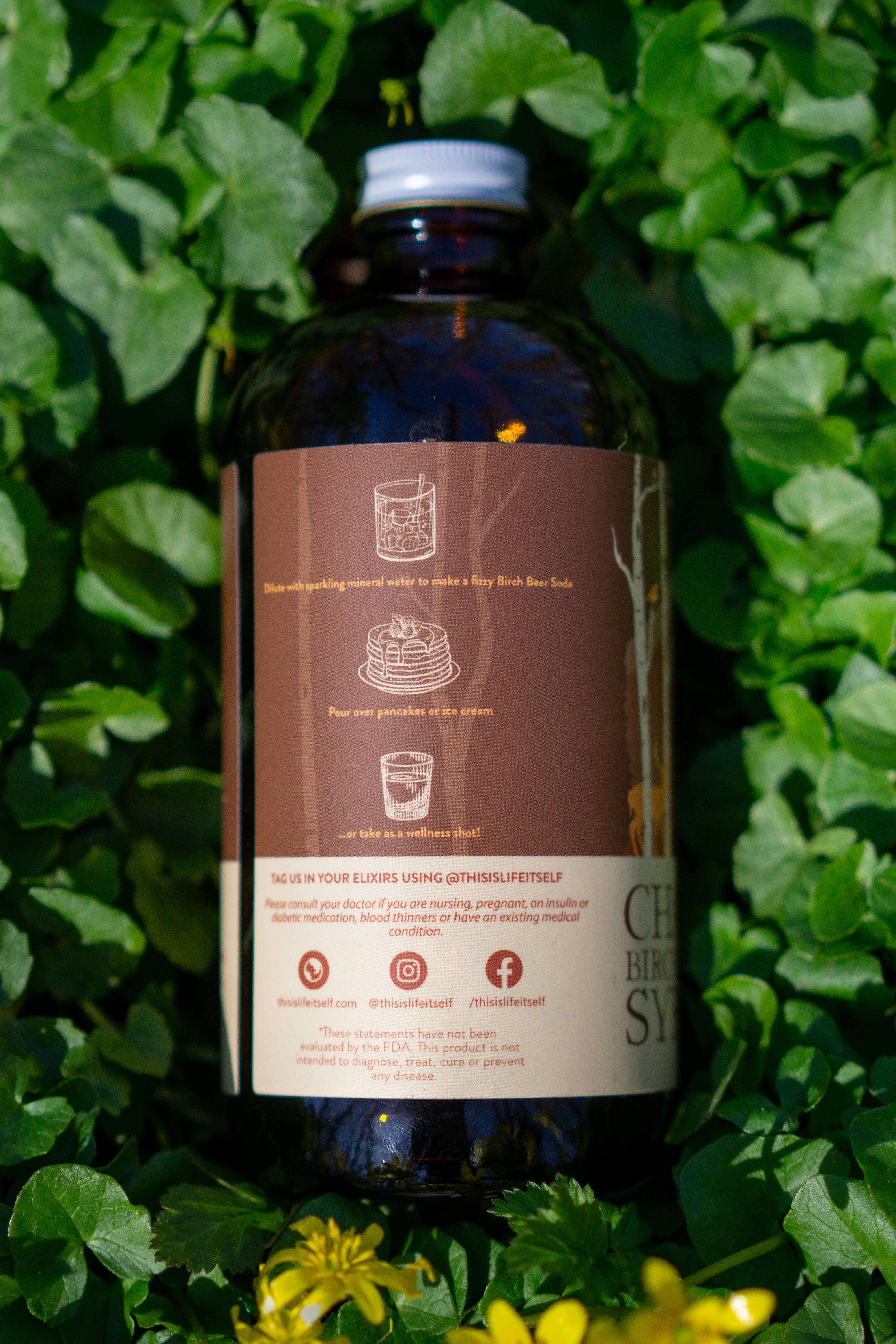 Chaga Birch Beer Syrup 16oz