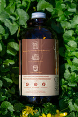 Chaga Birch Beer Syrup 16oz
