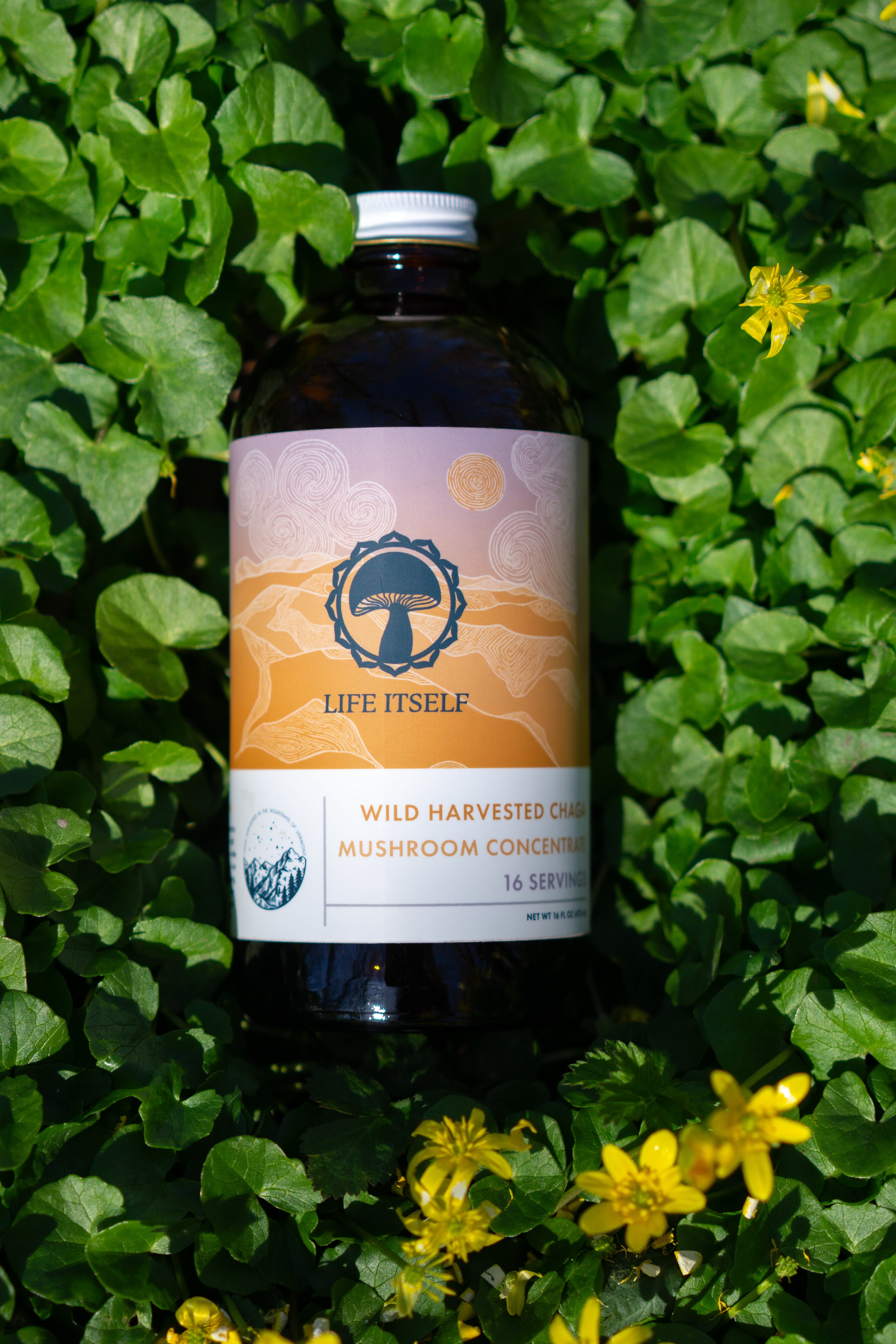 Chaga Concentrate 16oz