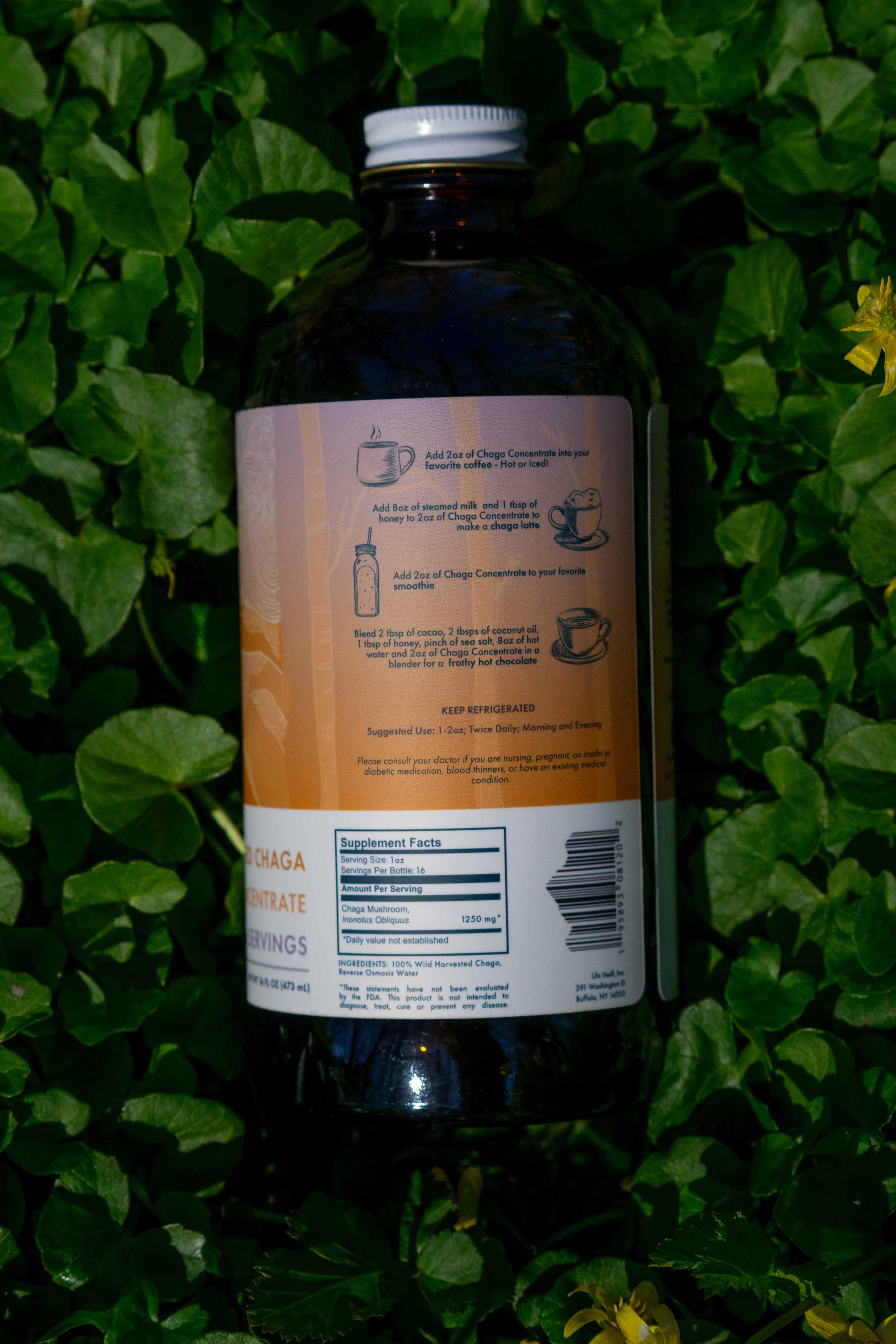 Chaga Concentrate 16oz