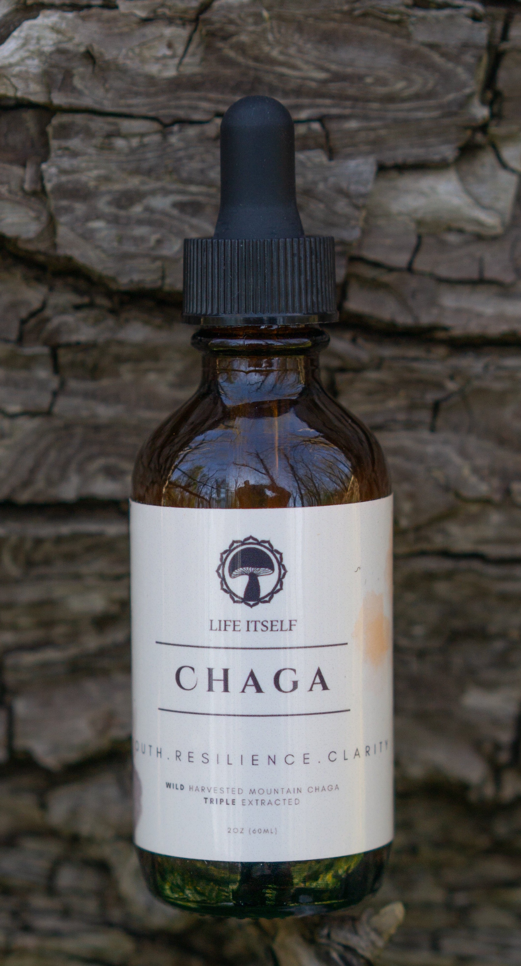 Chaga Tincture 2oz