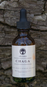 Chaga Tincture 2oz