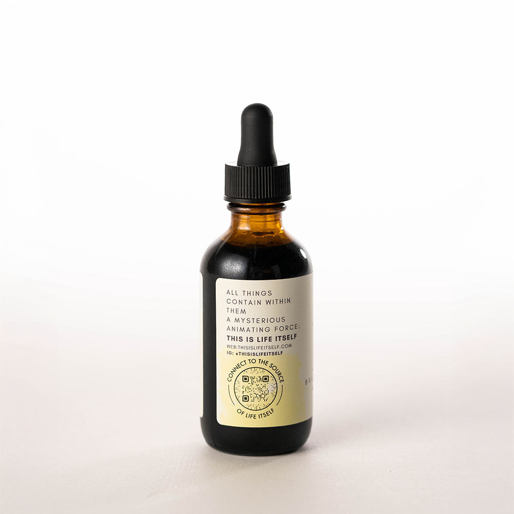 Lion's Mane Tincture - Cognitive Support and Brain Focus Nootropic Mushroom Supplement by Life Itself