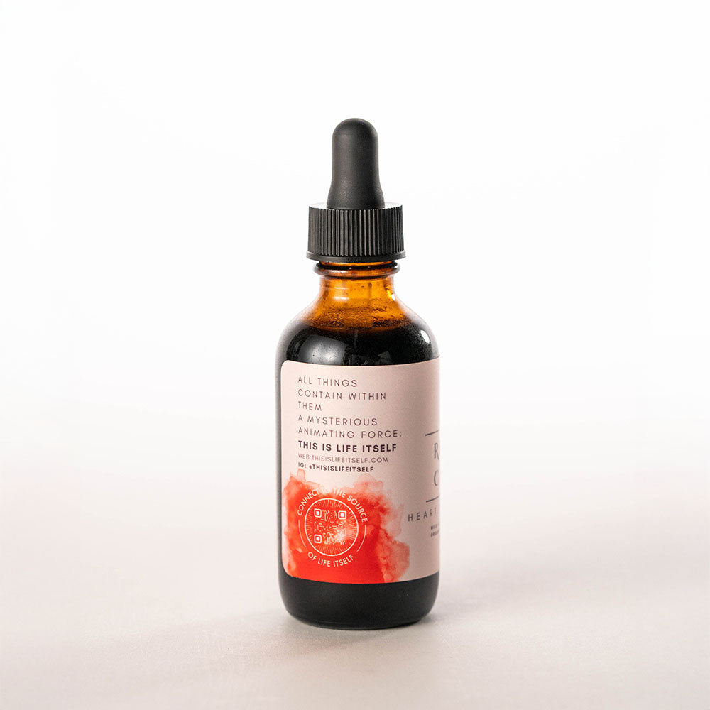 Reishi Cacao Tincture - Stress Relief and Relaxation Adaptogen Mushroom Supplement by Life Itself