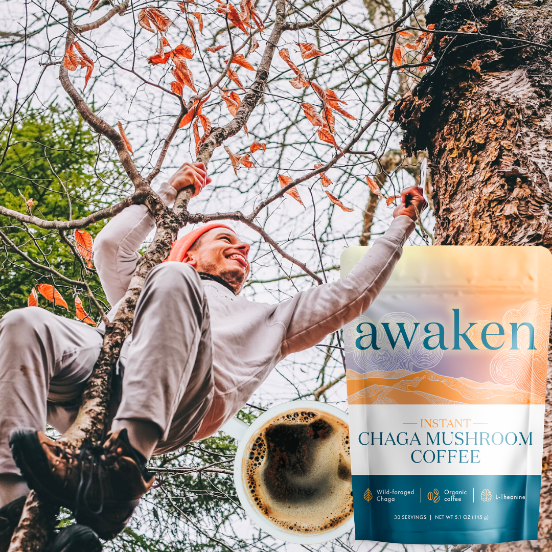 Life Itself Awaken Instant Chaga Coffee