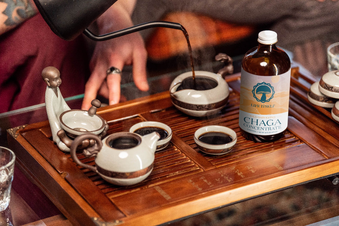 A person pouring hot water from a gooseneck kettle into a traditional clay teapot during a tea ceremony, with a bottle of Life Itself Wild Harvested Chaga Concentrate resting on a wooden tray.
