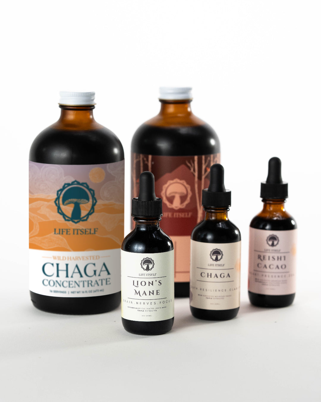 A collection of Life Itself mushroom extract products on a pristine white background, featuring large bottles of Wild Harvested Chaga Concentrate alongside Lion's Mane, Chaga, and Reishi Cacao dropper tinctures.
