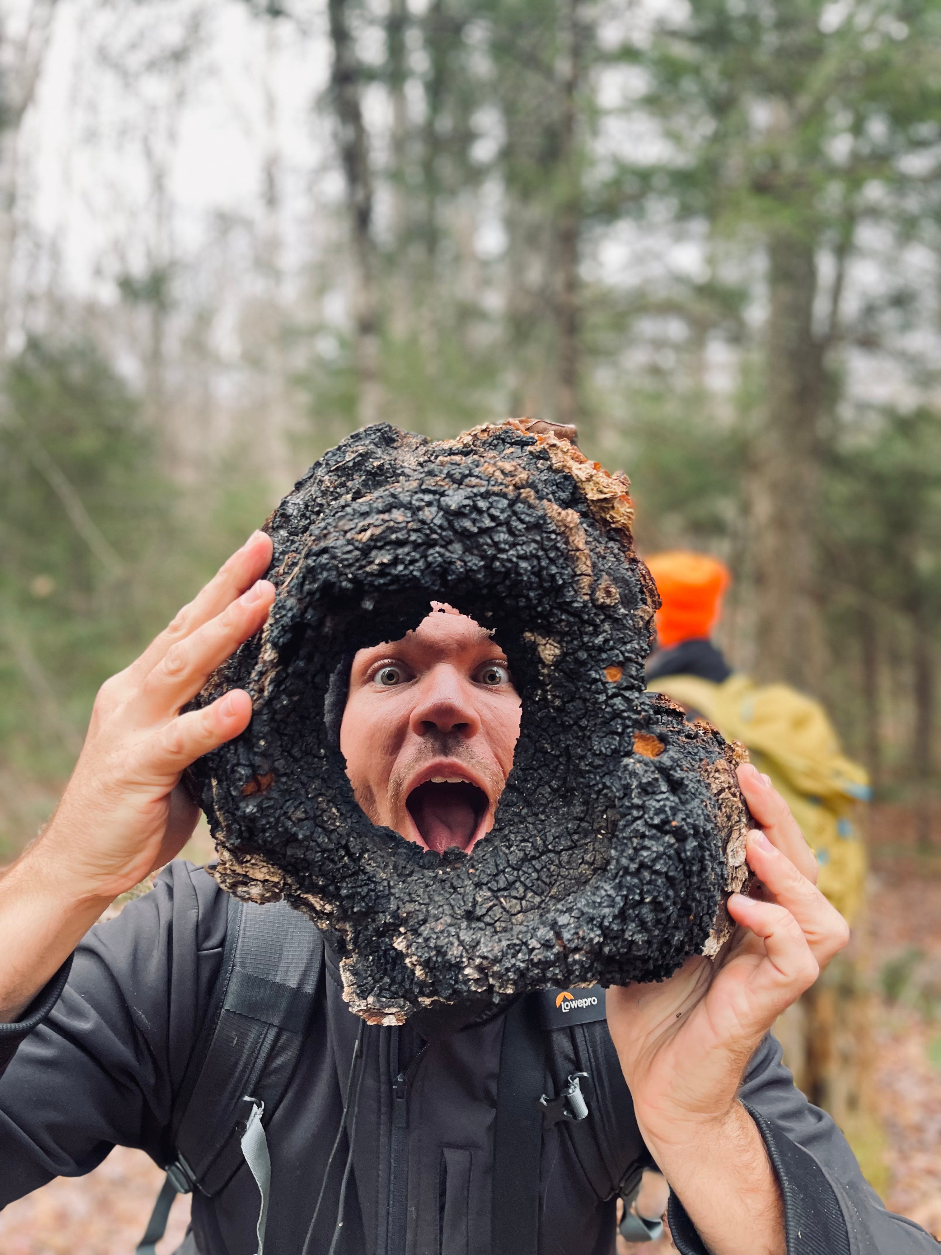 A person looking through a massive, sustainably foraged wild Chaga mushroom to demonstrate the scale and authentic sourcing of raw ingredients for Life Itself Labs.
