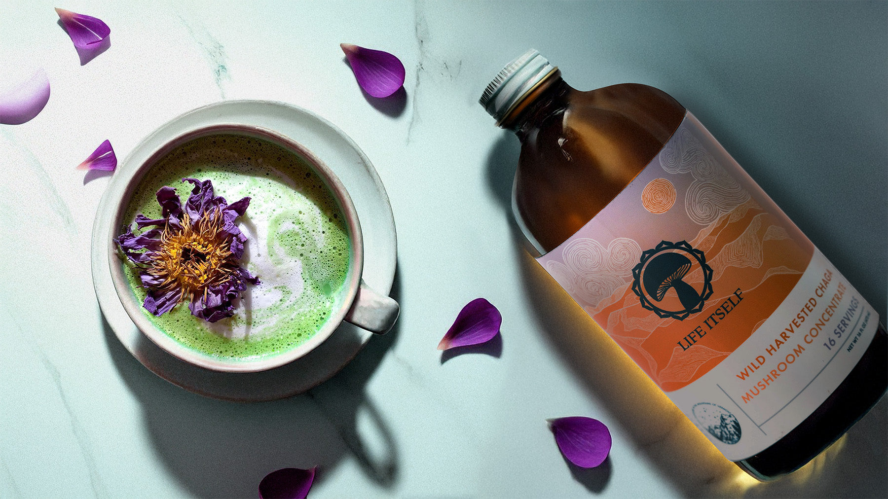 Immunity Support Bundle